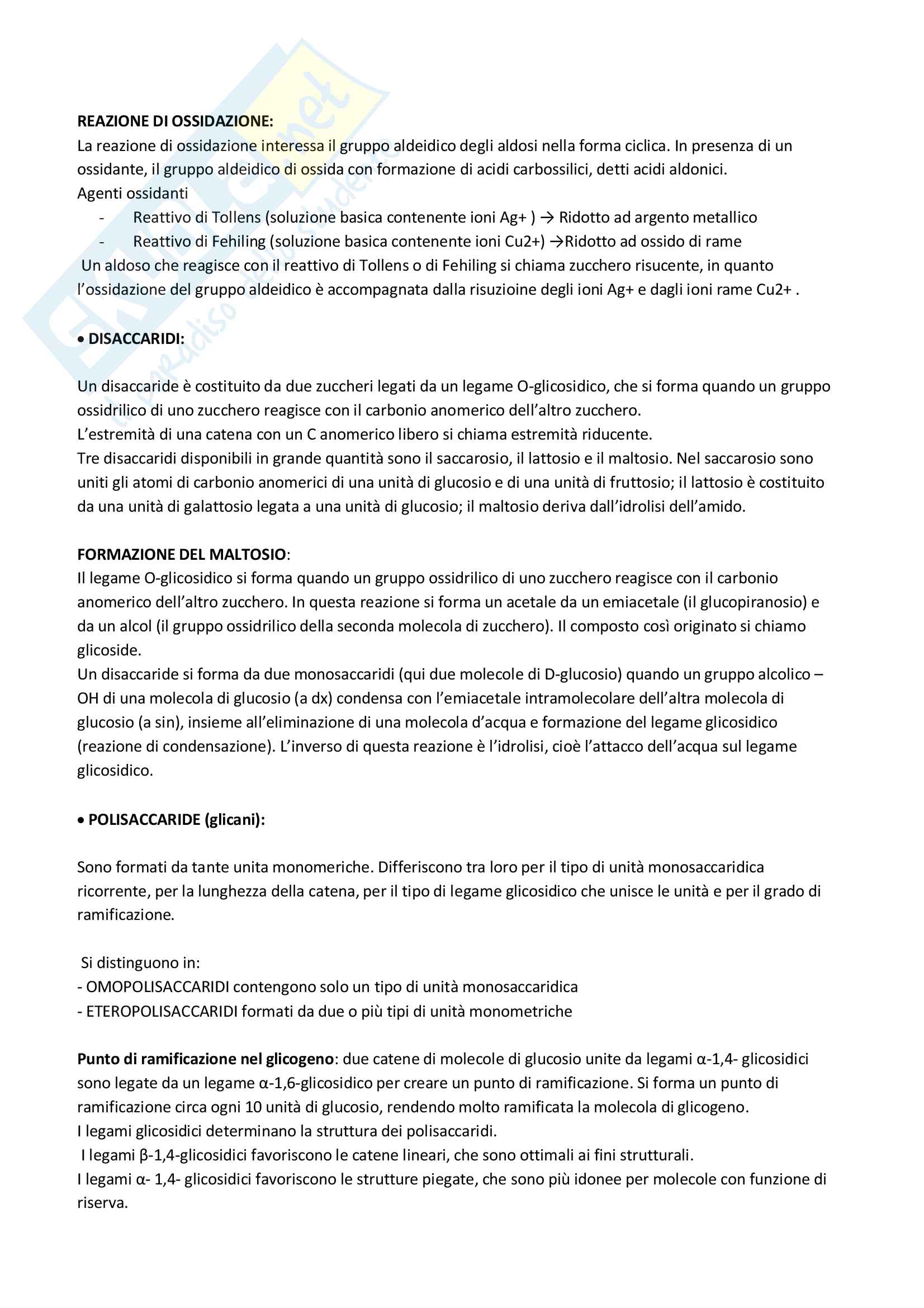 Appunti bioingegneria chimica Pag. 36