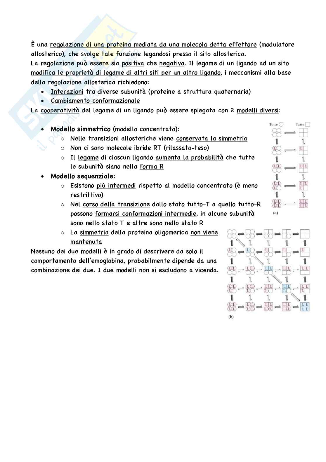 Biochimica generale Pag. 31