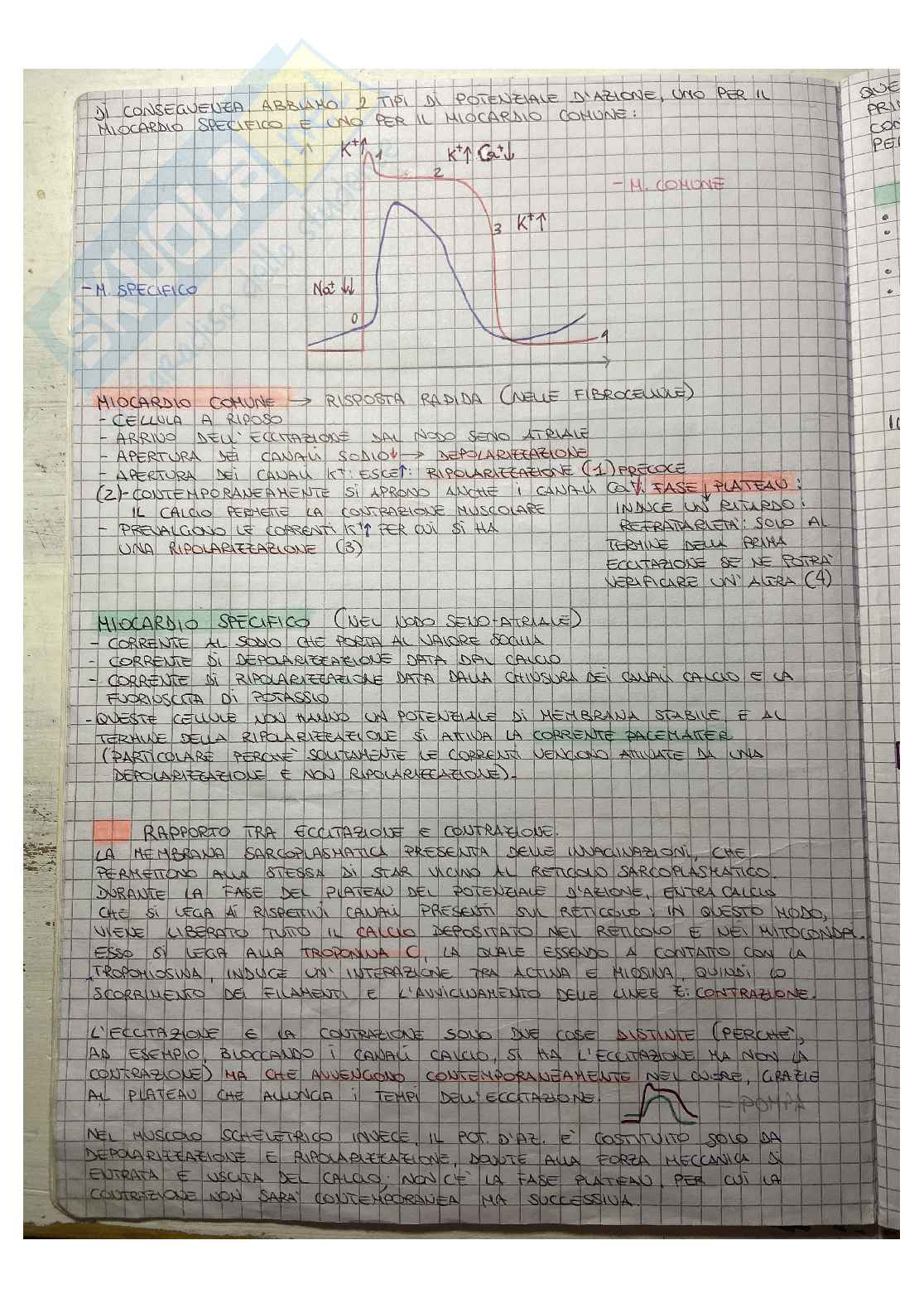 Appunti di fisiologia Pag. 6