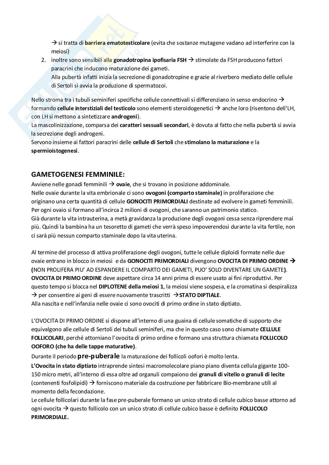 Appunti di Embriologia Pag. 2