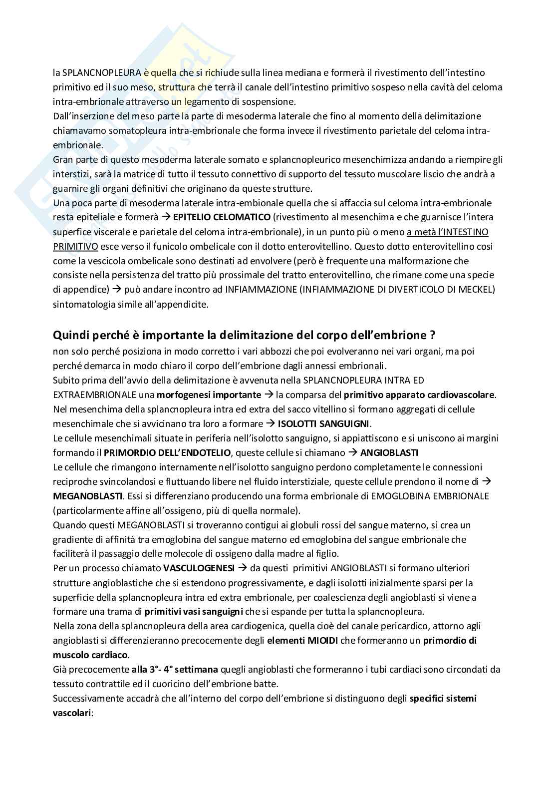 Appunti di Embriologia Pag. 26