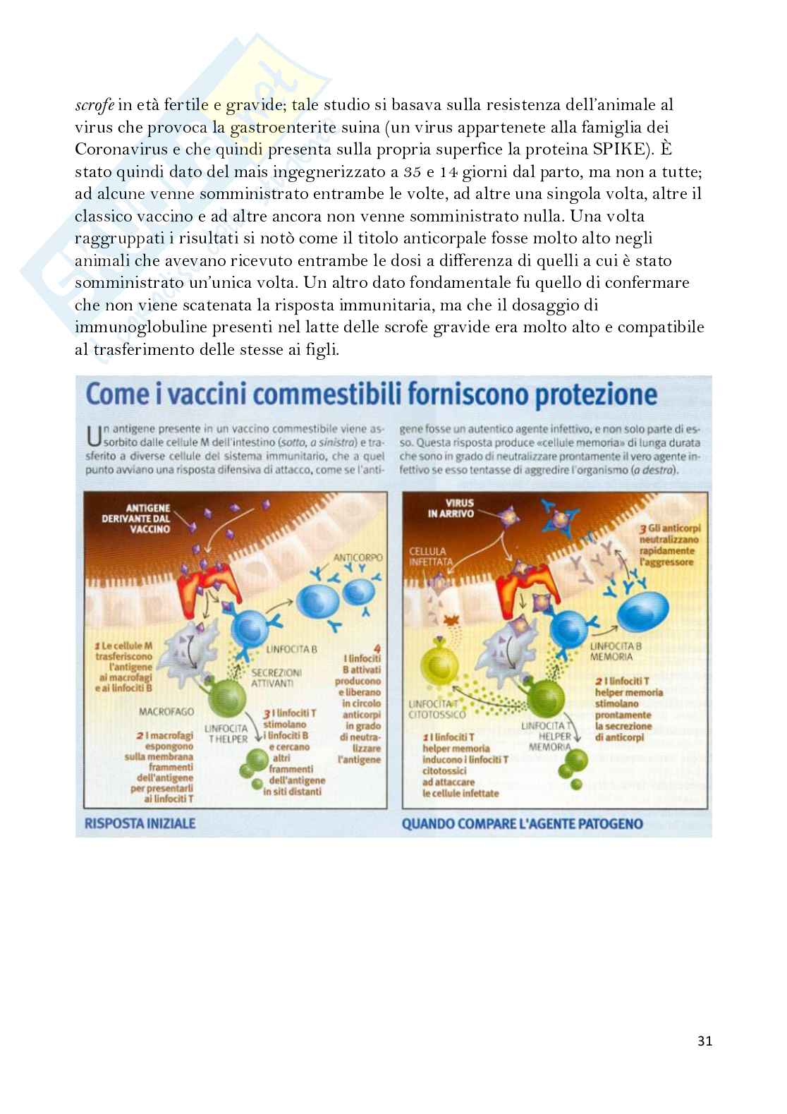Biotecnologie vegetali  Pag. 31