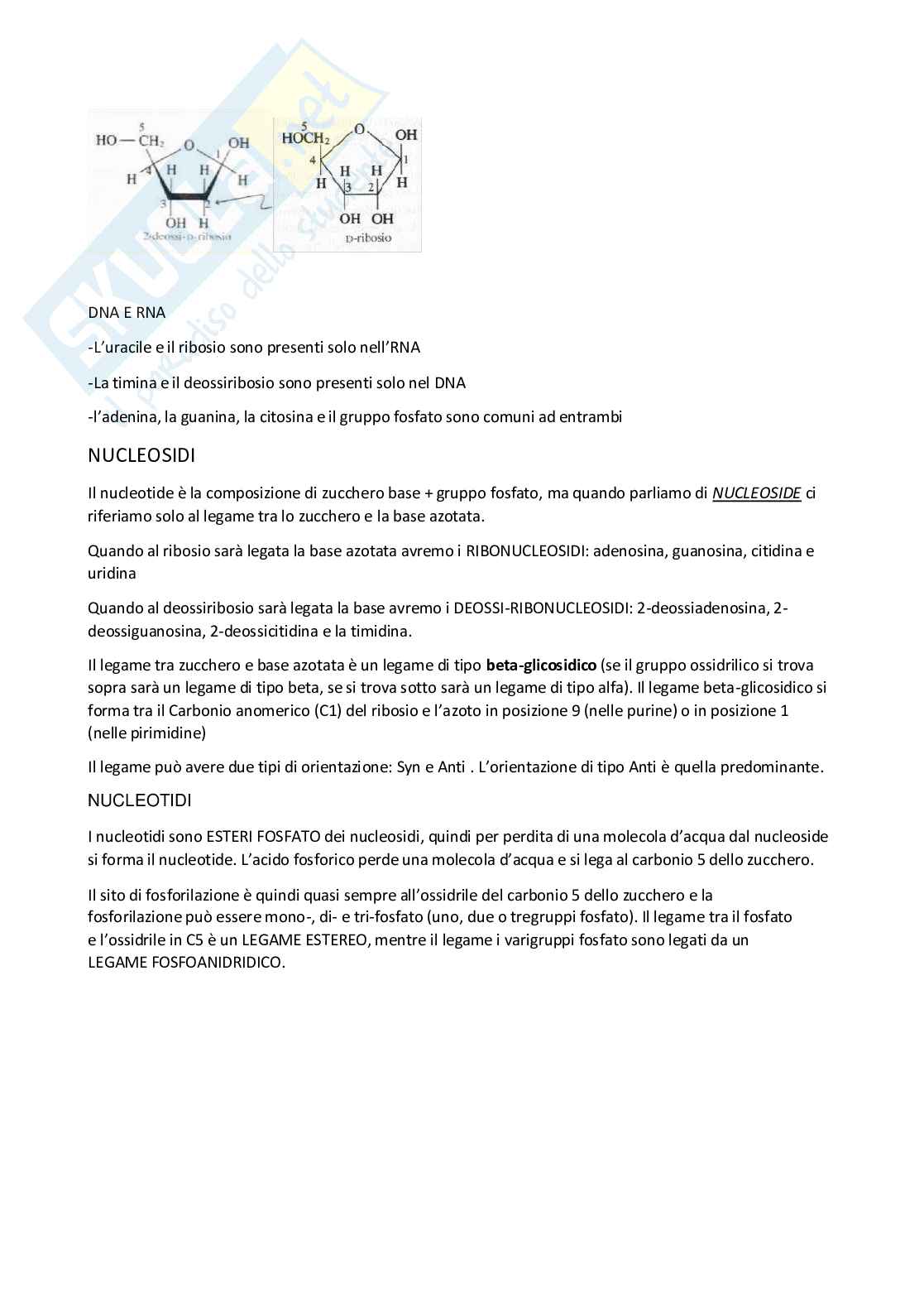 Biologia molecolare Pag. 2