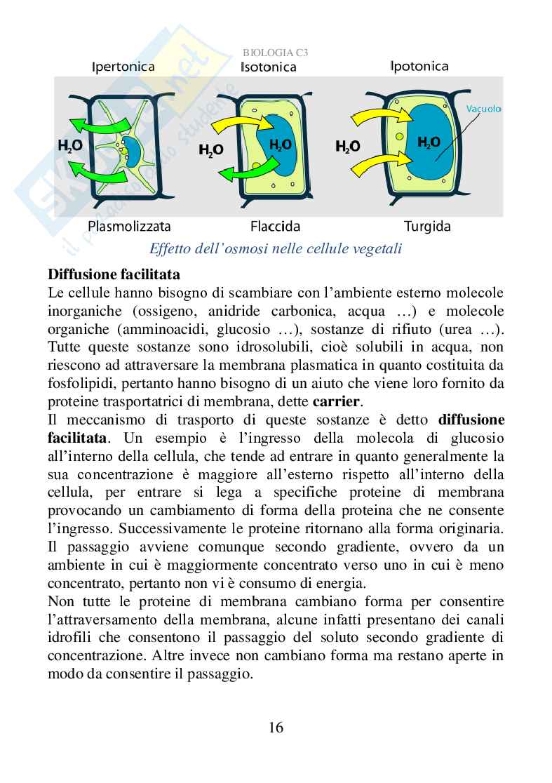 Biologia C3 (ebook) Pag. 16