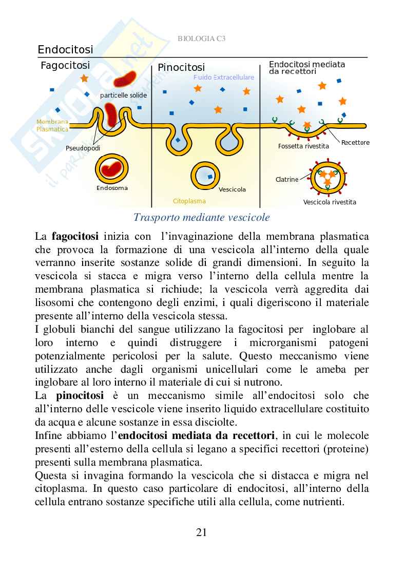 Biologia C3 (ebook) Pag. 21