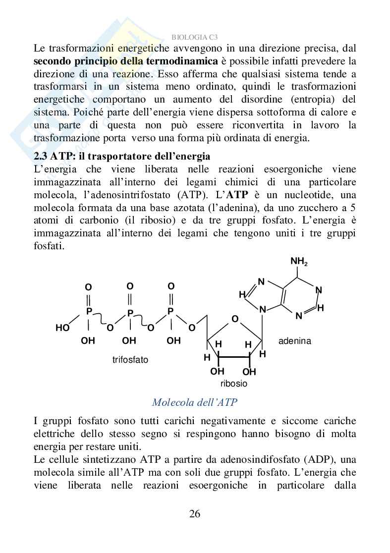 Biologia C3 (ebook) Pag. 26