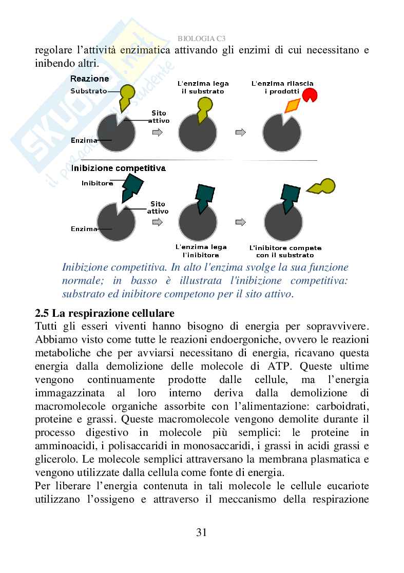 Biologia C3 (ebook) Pag. 31