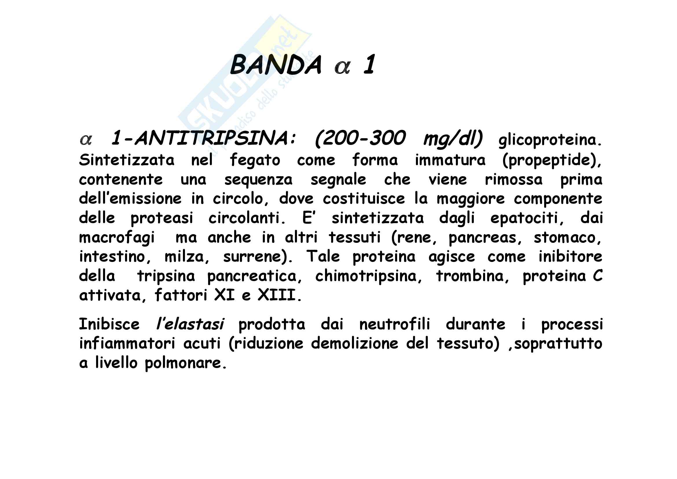 Patologia clinica - proteine plasmatiche Pag. 26
