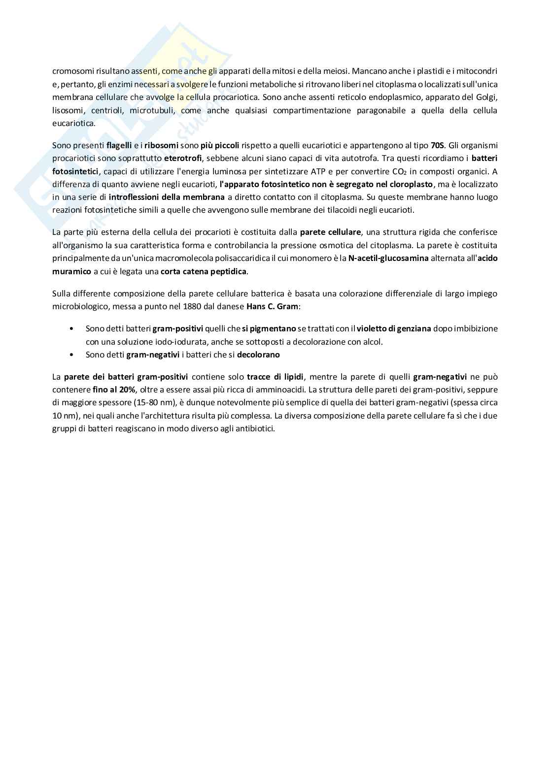 Biologia vegetale con elementi di botanica farmaceutica Pag. 16