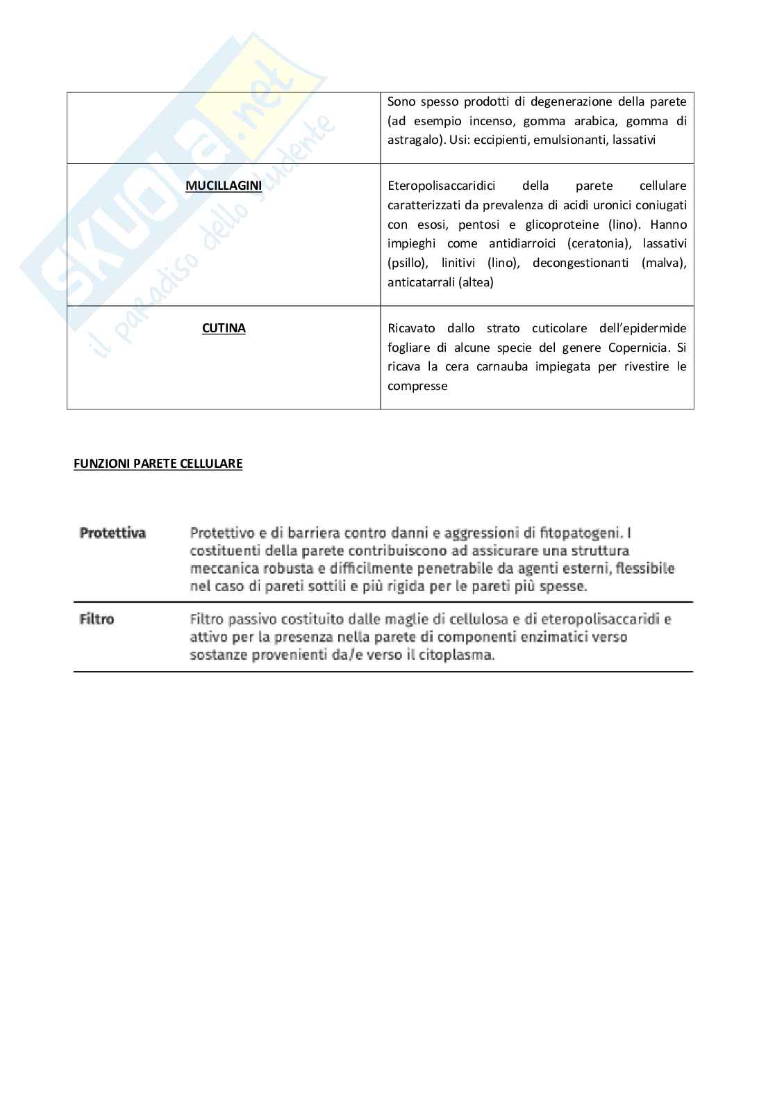 Biologia vegetale con elementi di botanica farmaceutica Pag. 56