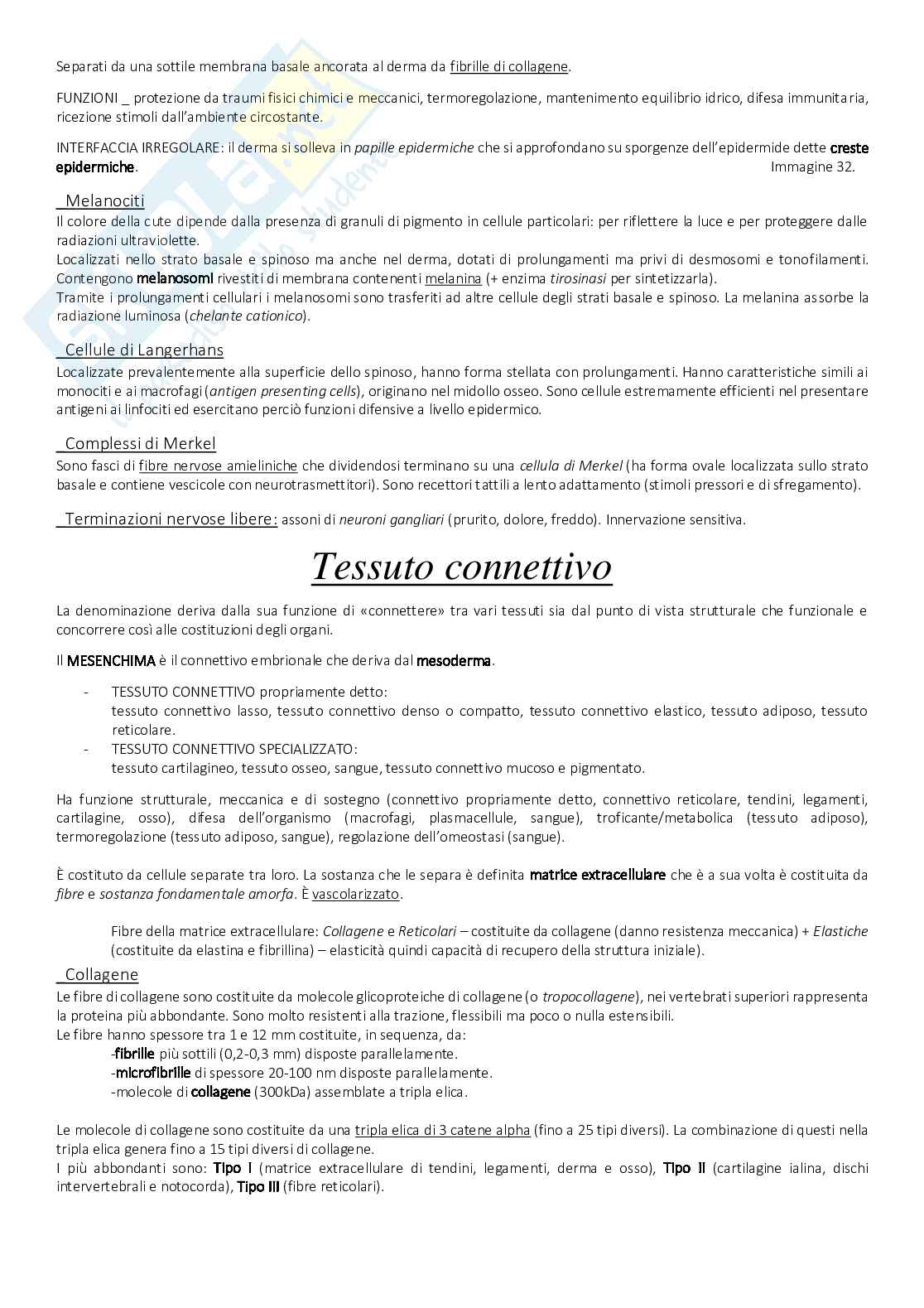 Anatomia - tessuti Pag. 6