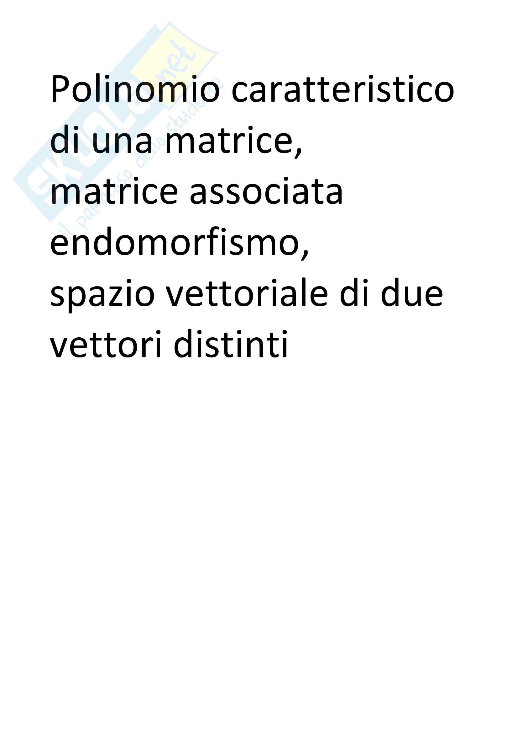 Polinomio caratteristico di una matrice Pag. 1