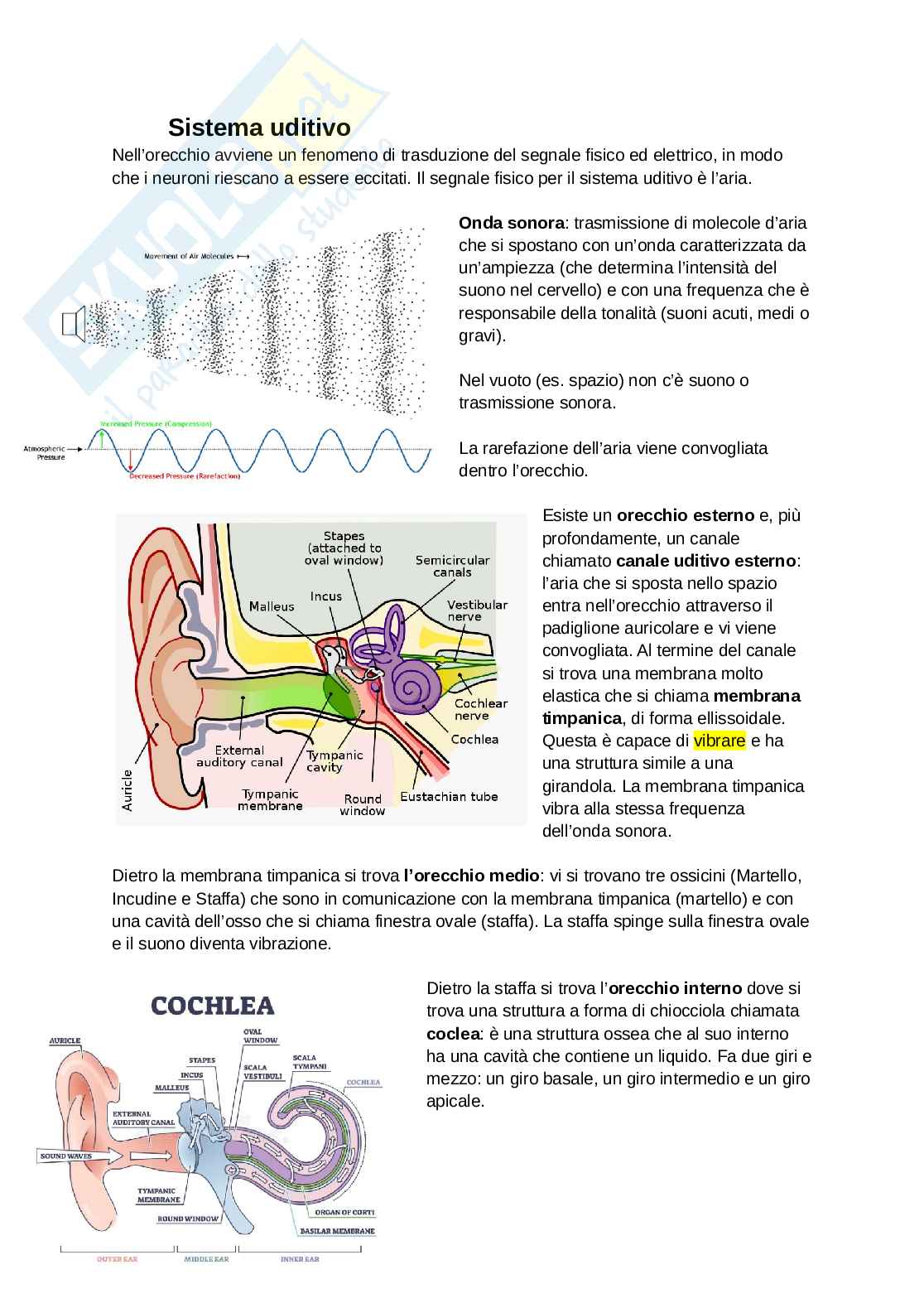 Neurofisiologia dei sistemi sensoriali: udito e sistema vestibolare Pag. 1