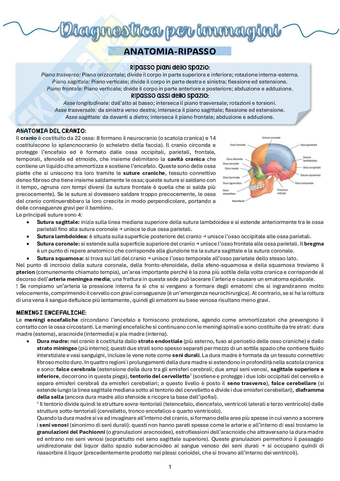 Appunti di Diagnostica per immagini Pag. 1