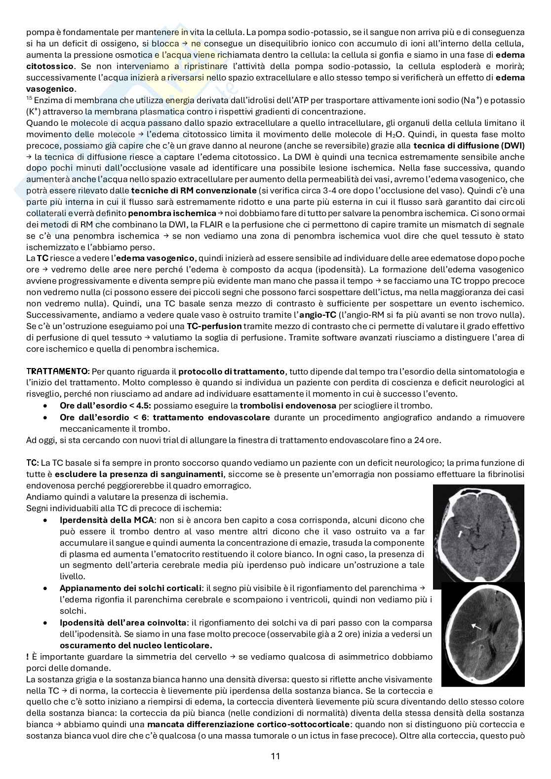 Appunti di Diagnostica per immagini Pag. 11