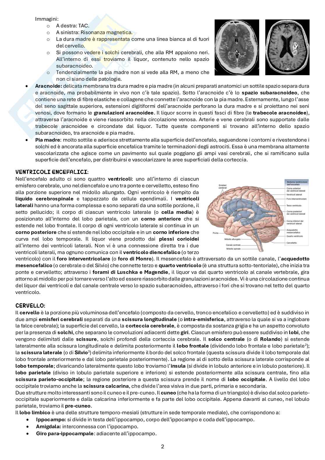 Appunti di Diagnostica per immagini Pag. 2
