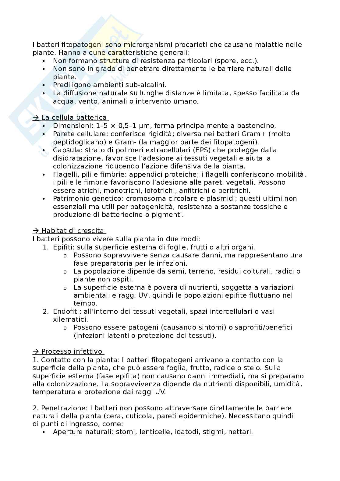 Appunti di patologia delle derrate vegetali  Pag. 21