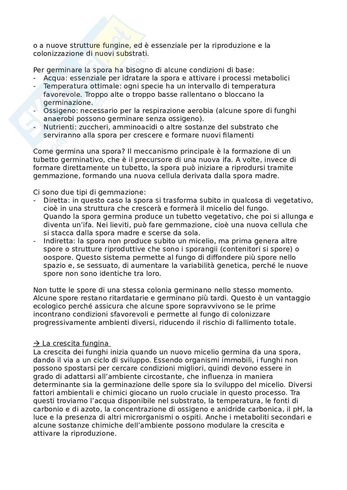 Appunti di patologia delle derrate vegetali  Pag. 31