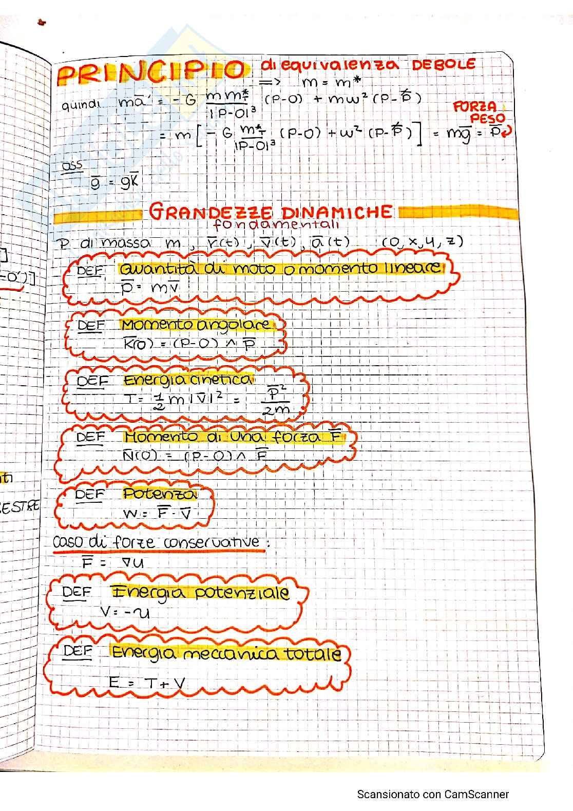 Teoria Meccanica razionale Pag. 41
