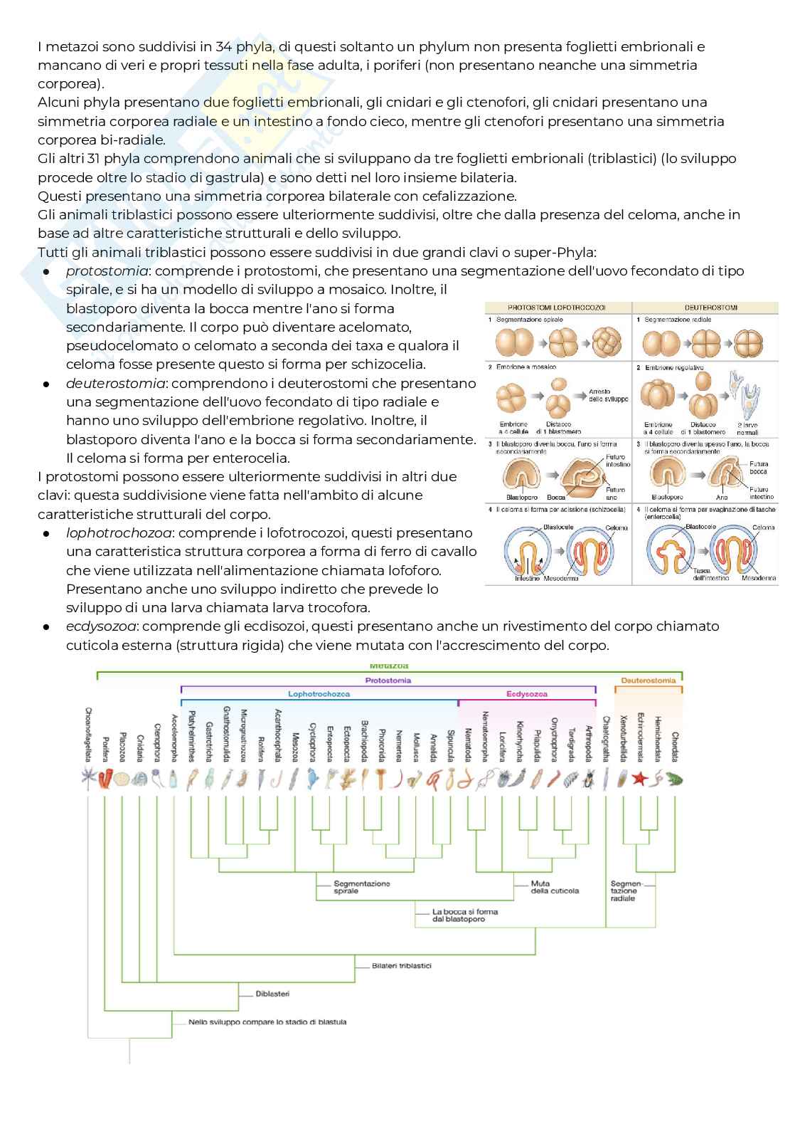 Biologia animale - parte 2 Pag. 1
