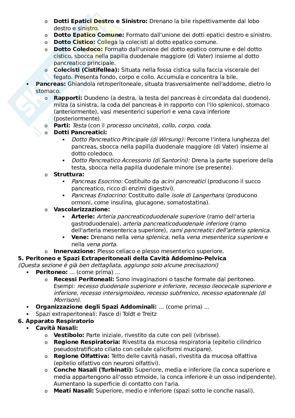 Schemi Anatomia I - parte orale Pag. 6