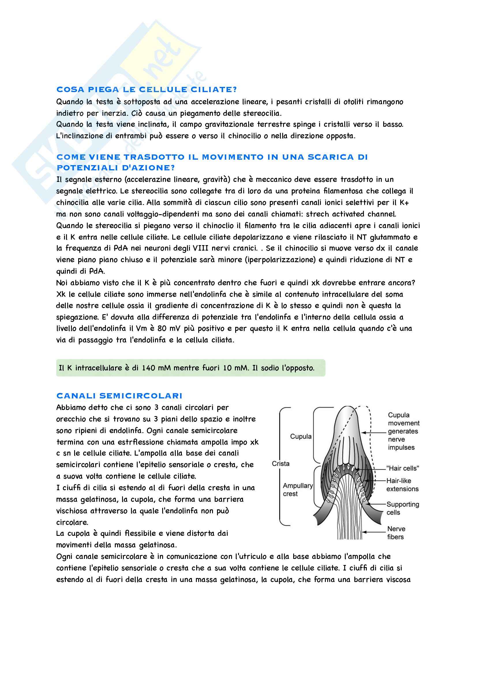 Fisiologia Nervosa Pag. 21