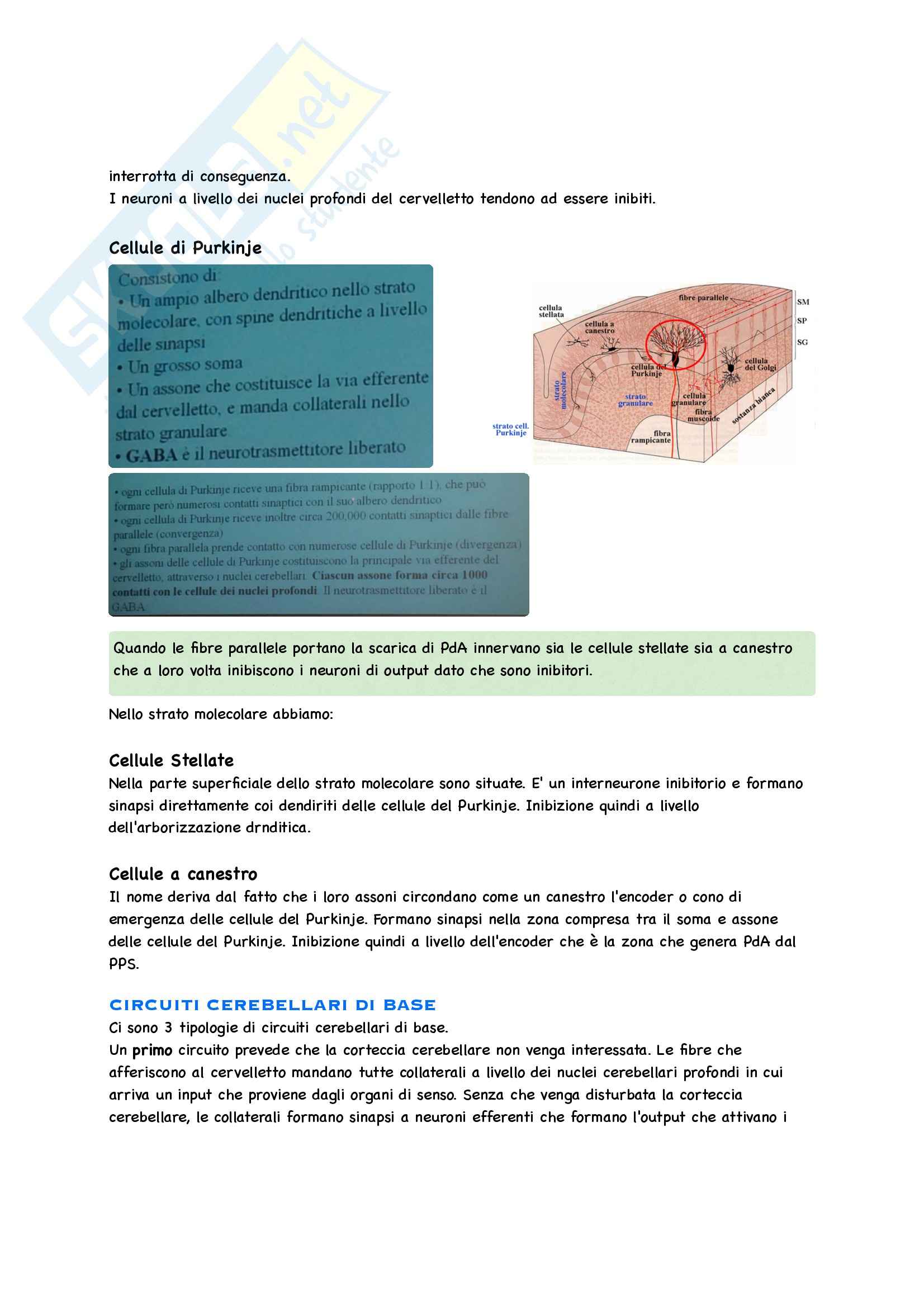 Fisiologia Nervosa Pag. 46