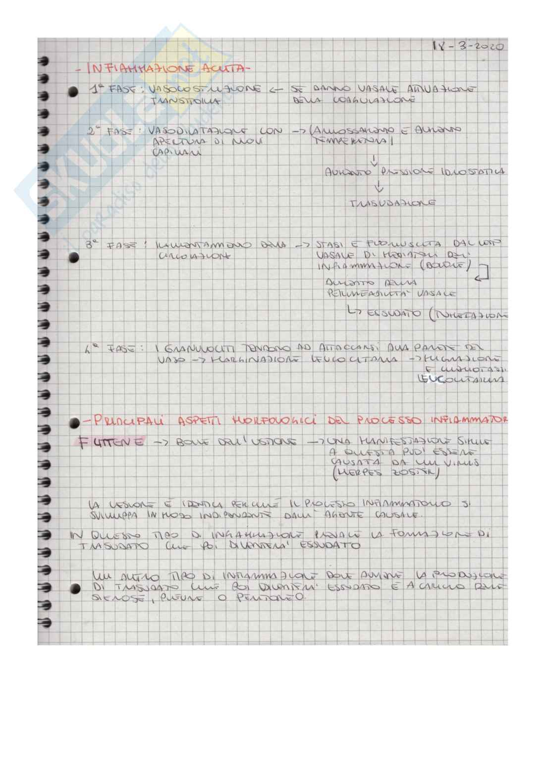 Appunti patologia Pag. 1