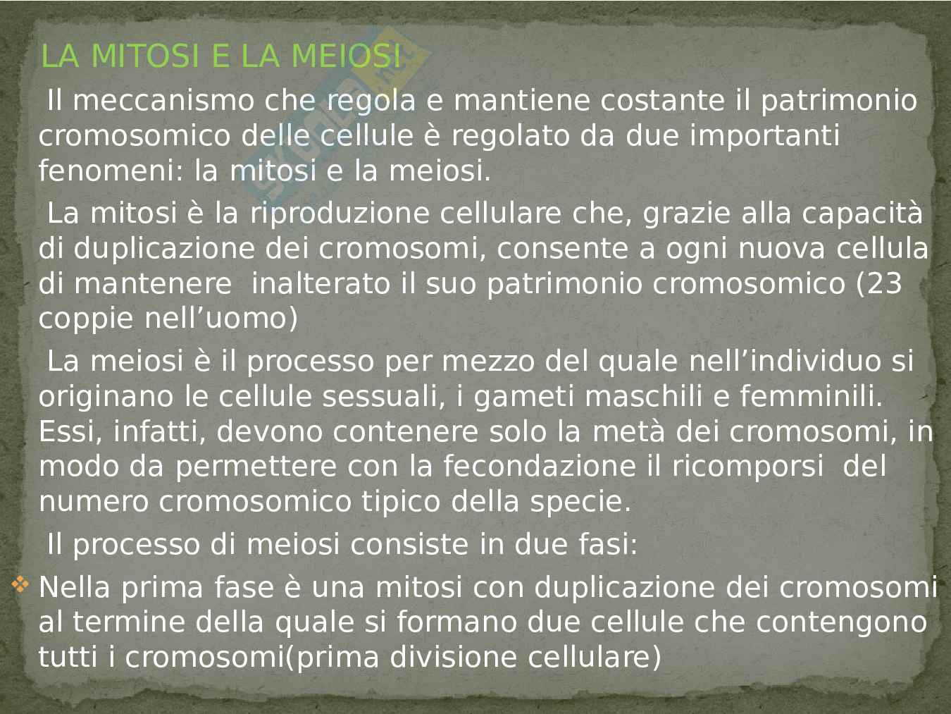 Stati Uniti: un viaggio alla scoperta, tesina Pag. 31