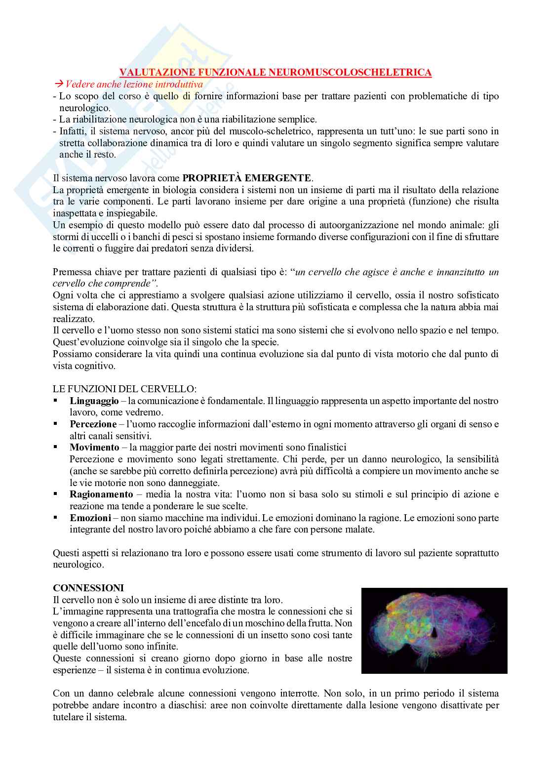 Fisioterapia - Elementi base di valutazione del sistema nervoso centrale e periferico Pag. 1