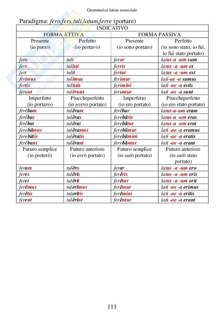 Grammatica Latina Essenziale (ebook) Pag. 111