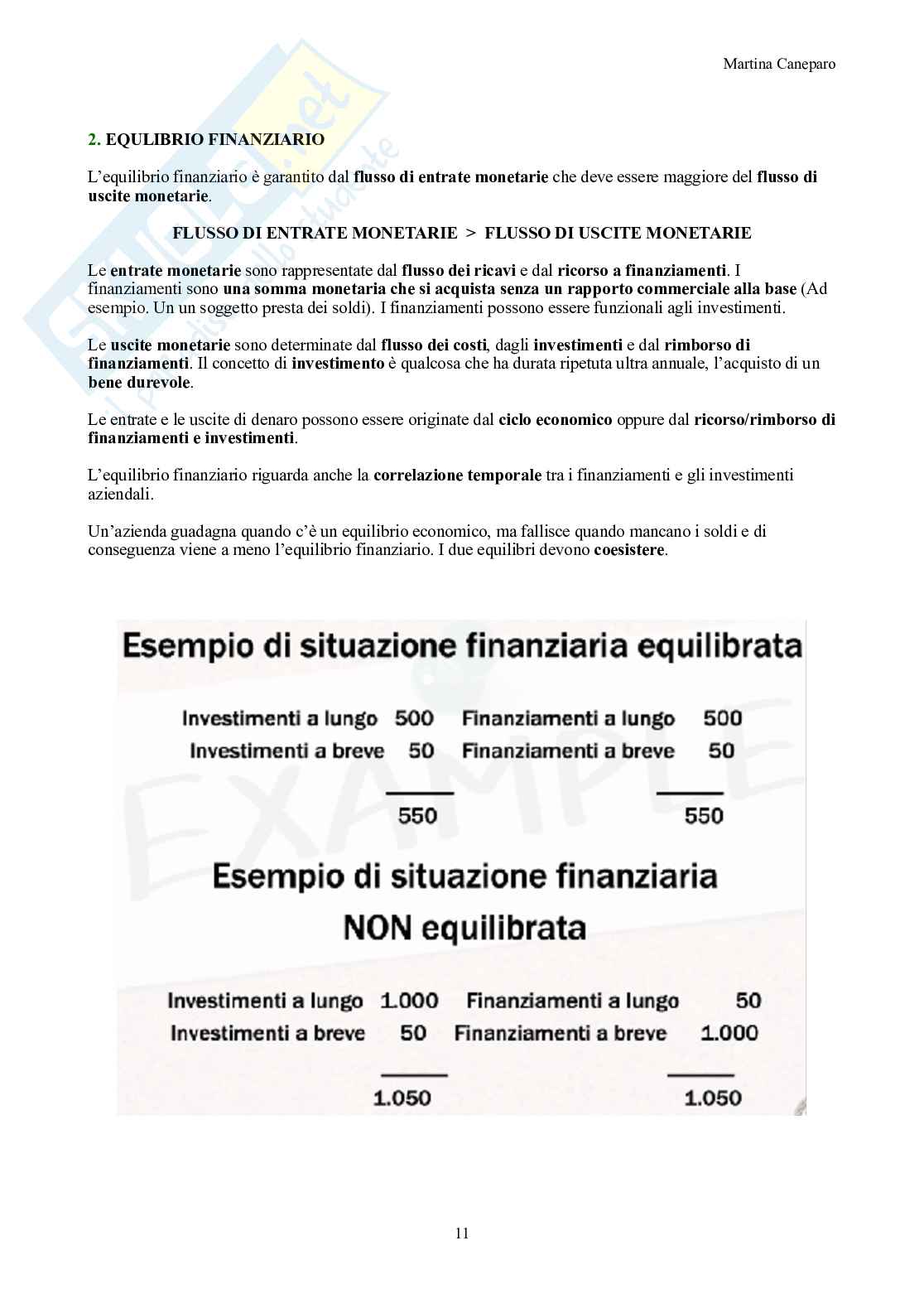 Economia aziendale – Parte 1 – Teoria (azienda, equilibri, bilancio, contabilità) Pag. 11