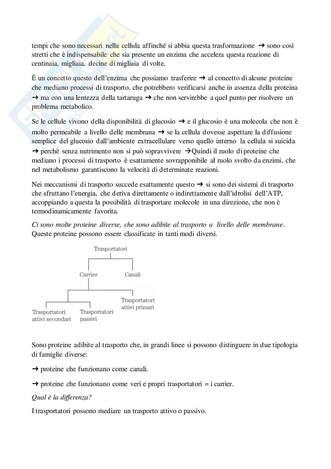 Biochimica avanzata Pag. 41
