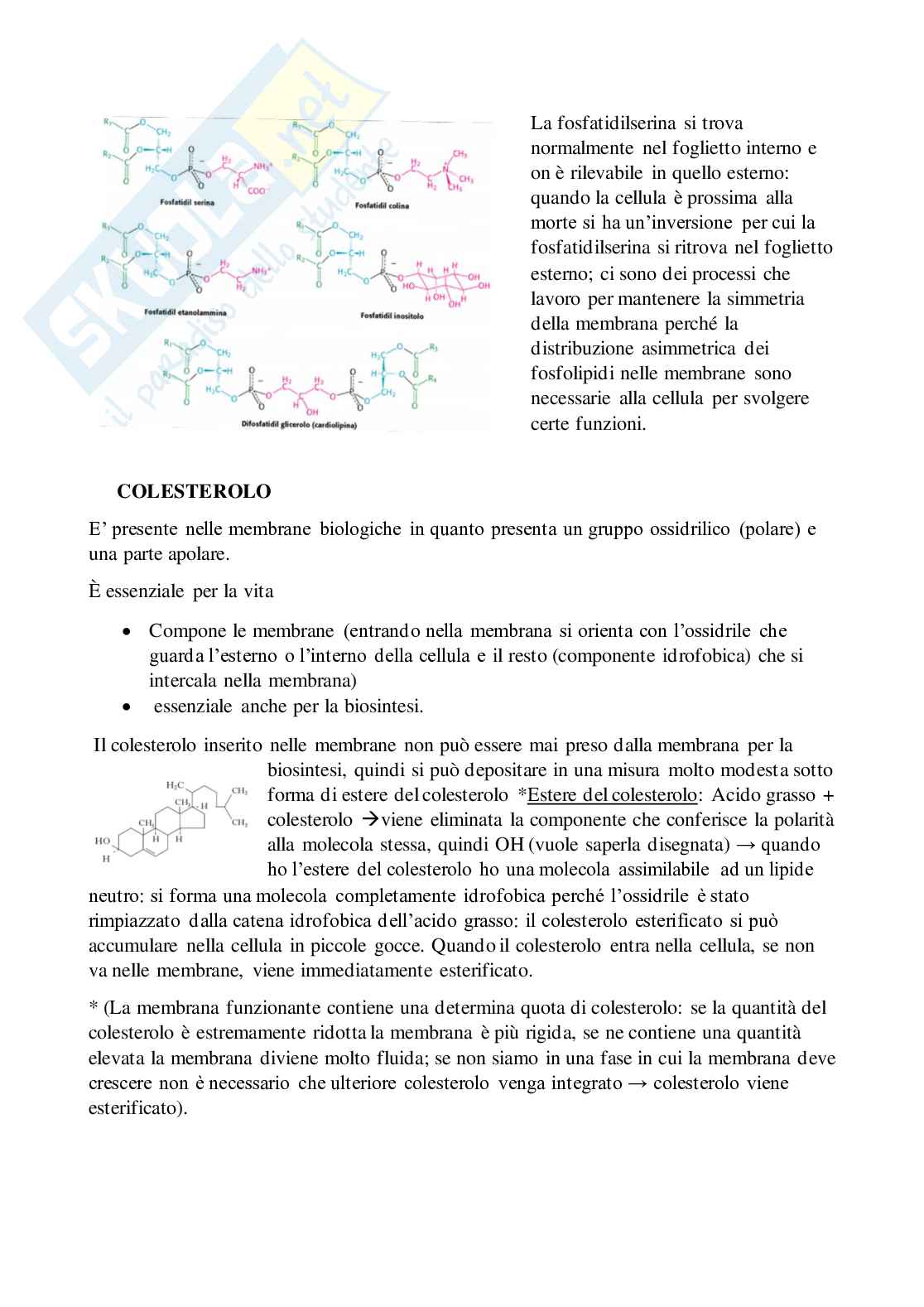Biochimica avanzata Pag. 6