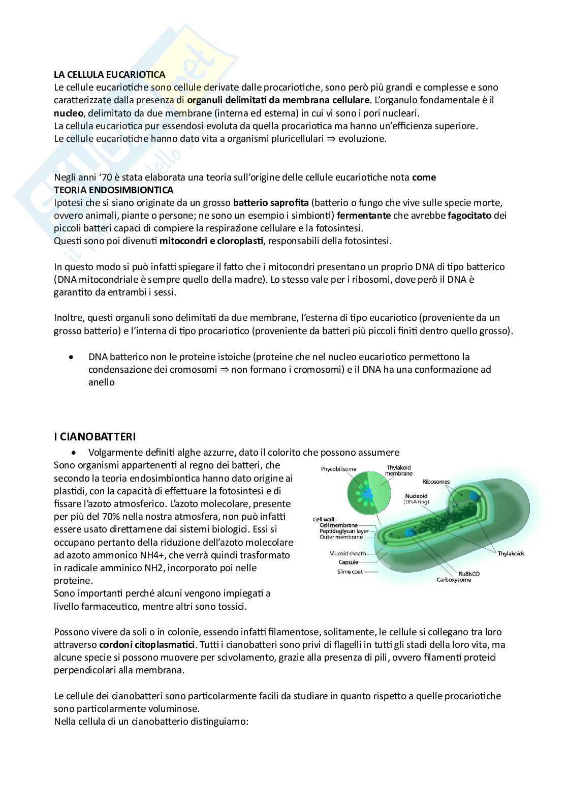 Appunti di Biologia farmaceutica/Botanica farmaceutica con elementi di fitochimica Pag. 2