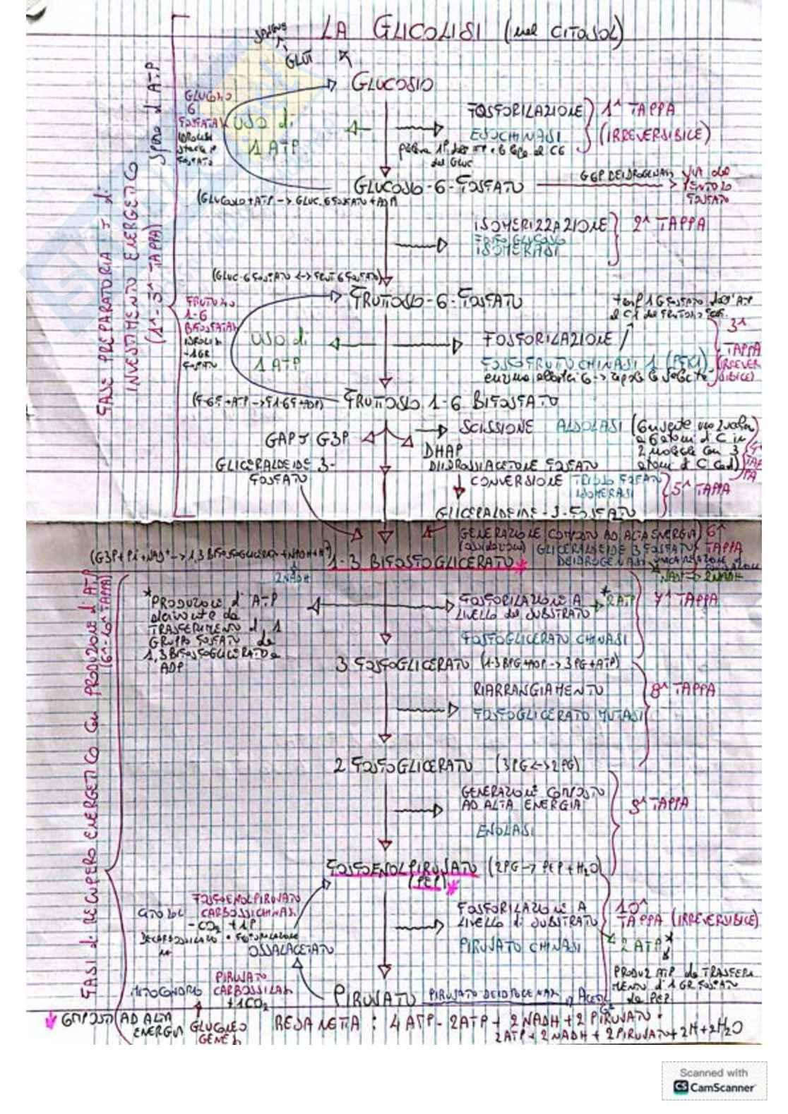 Appunti e schemi per l'esame di Biochimica Pag. 1