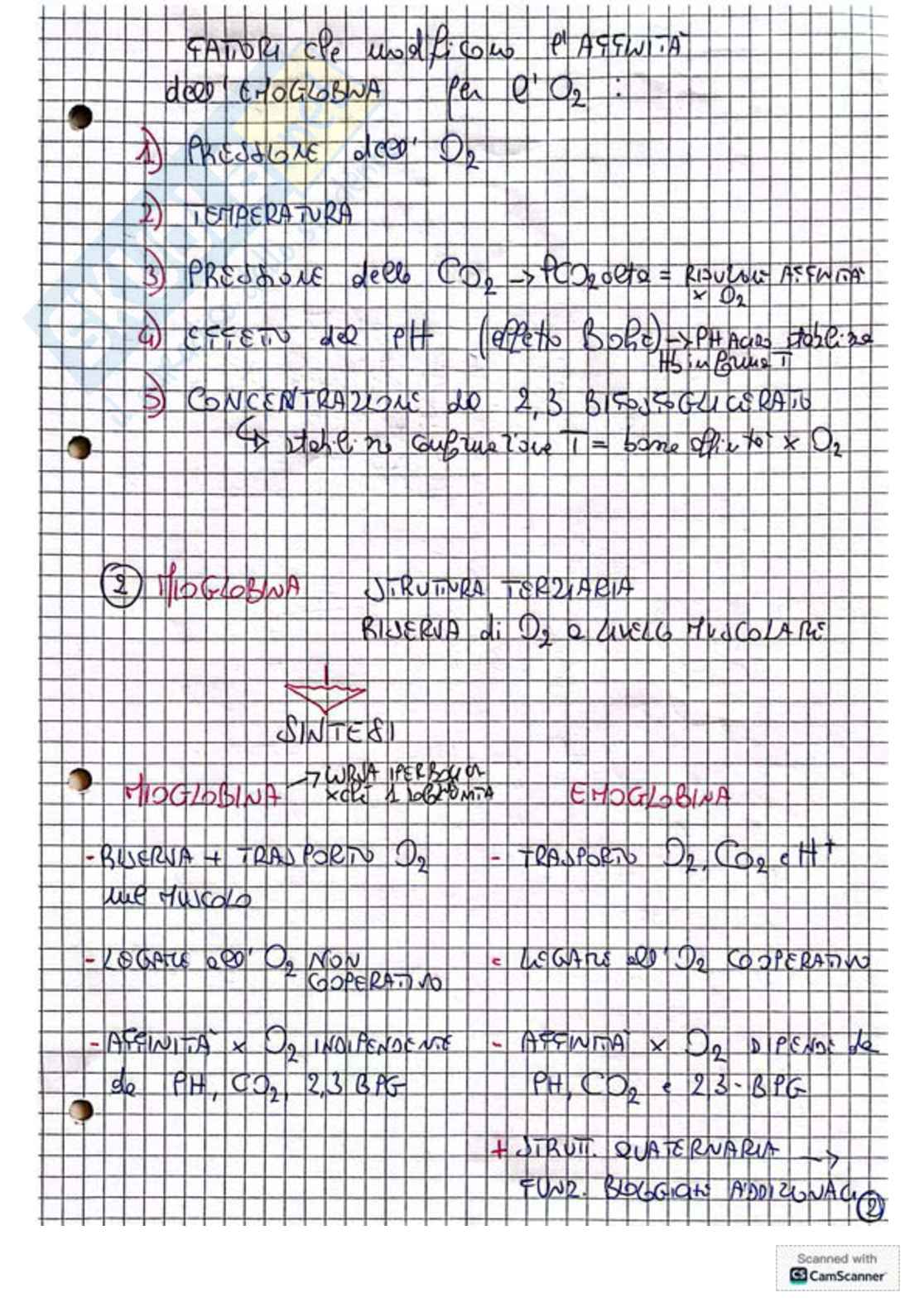 Appunti e schemi per l'esame di Biochimica Pag. 16