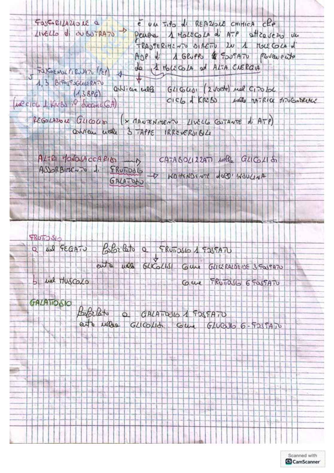 Appunti e schemi per l'esame di Biochimica Pag. 2