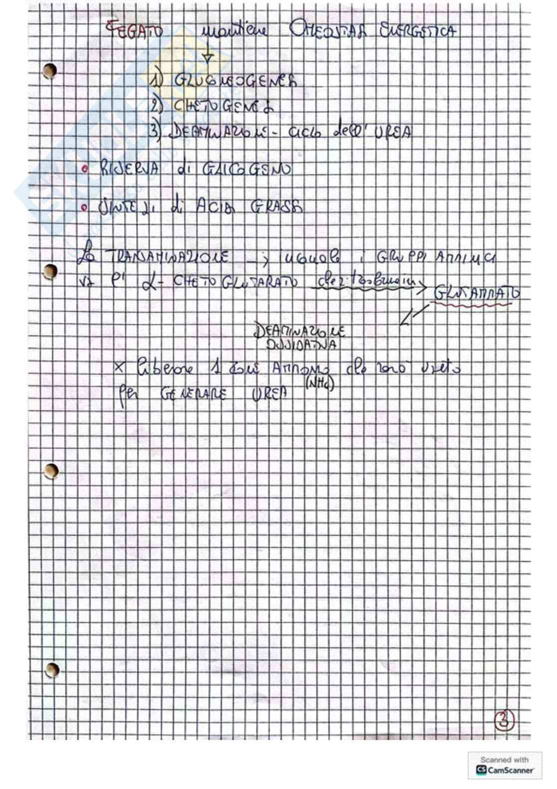 Appunti e schemi per l'esame di Biochimica Pag. 21