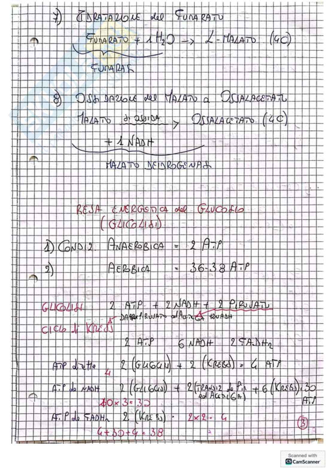 Appunti e schemi per l'esame di Biochimica Pag. 26