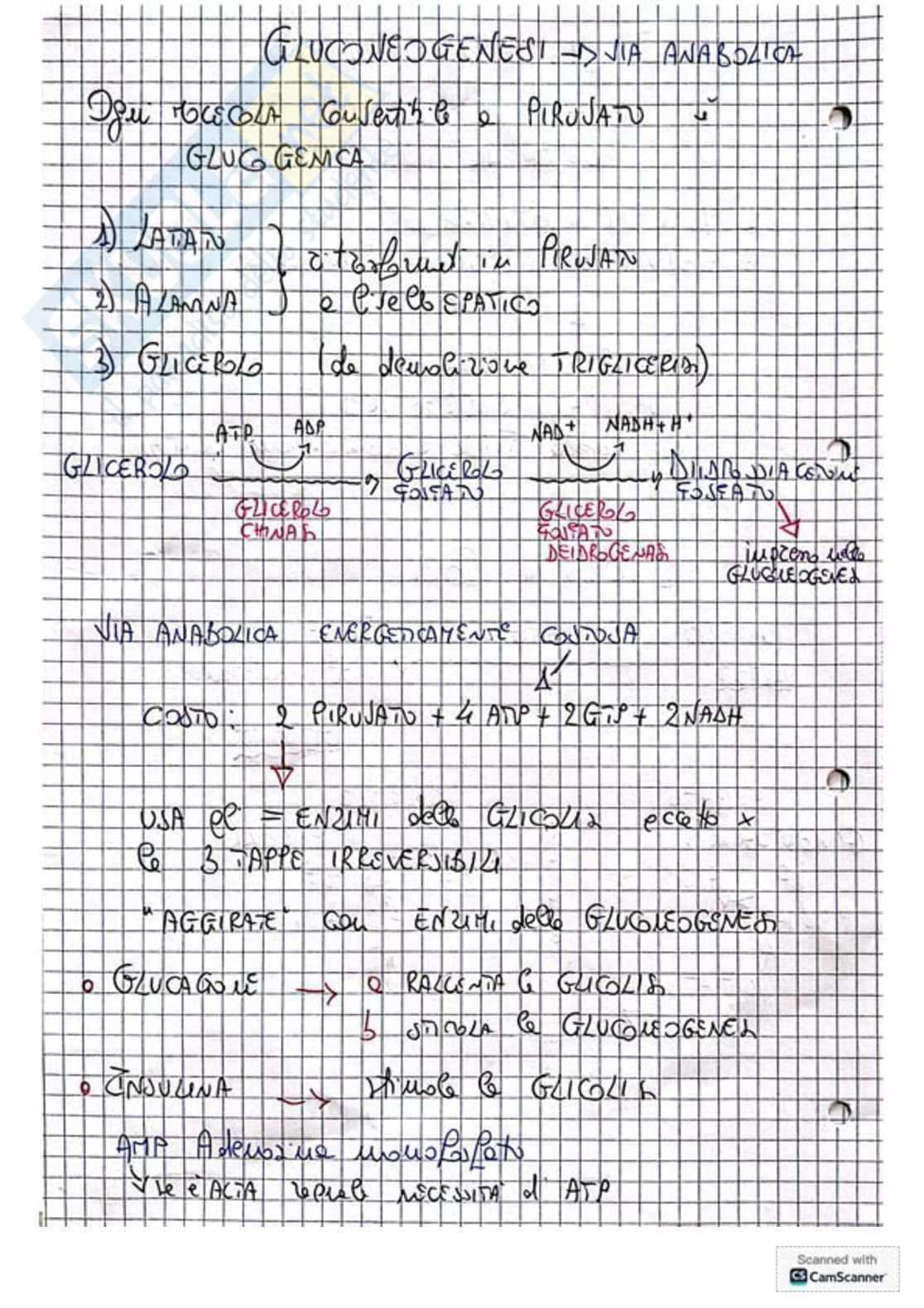 Appunti e schemi per l'esame di Biochimica Pag. 36