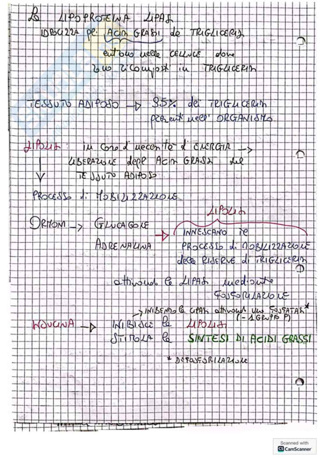 Appunti e schemi per l'esame di Biochimica Pag. 6