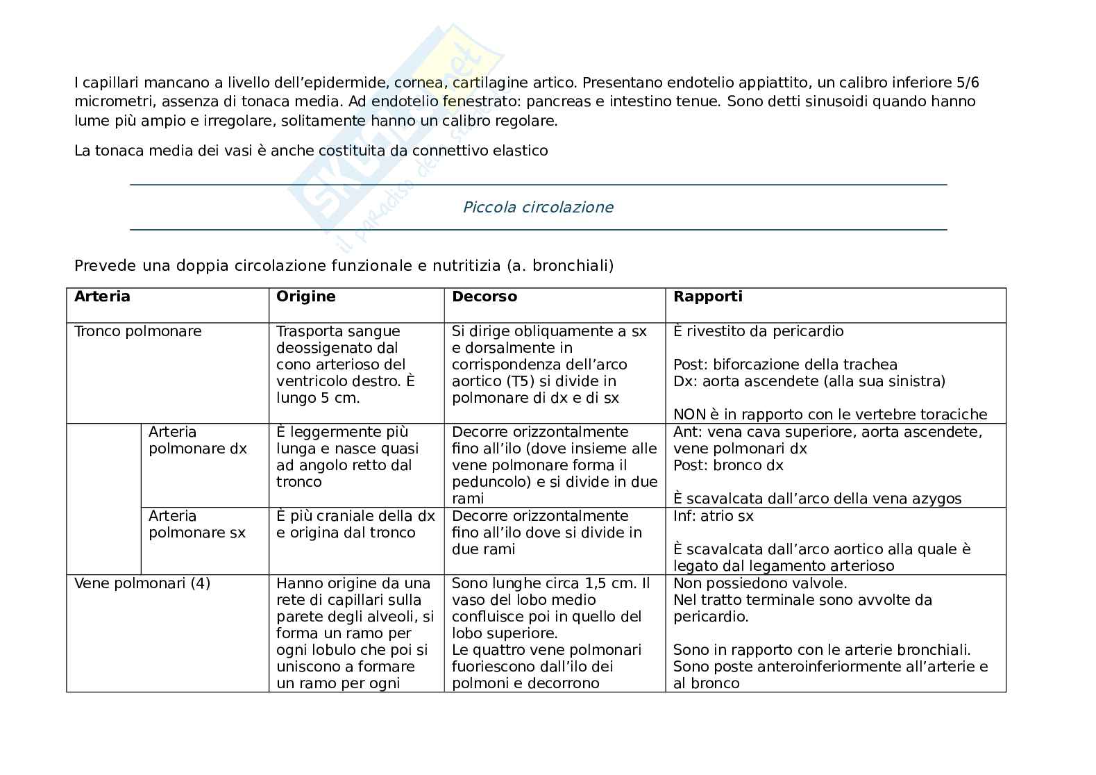 Arterie e vene Pag. 1