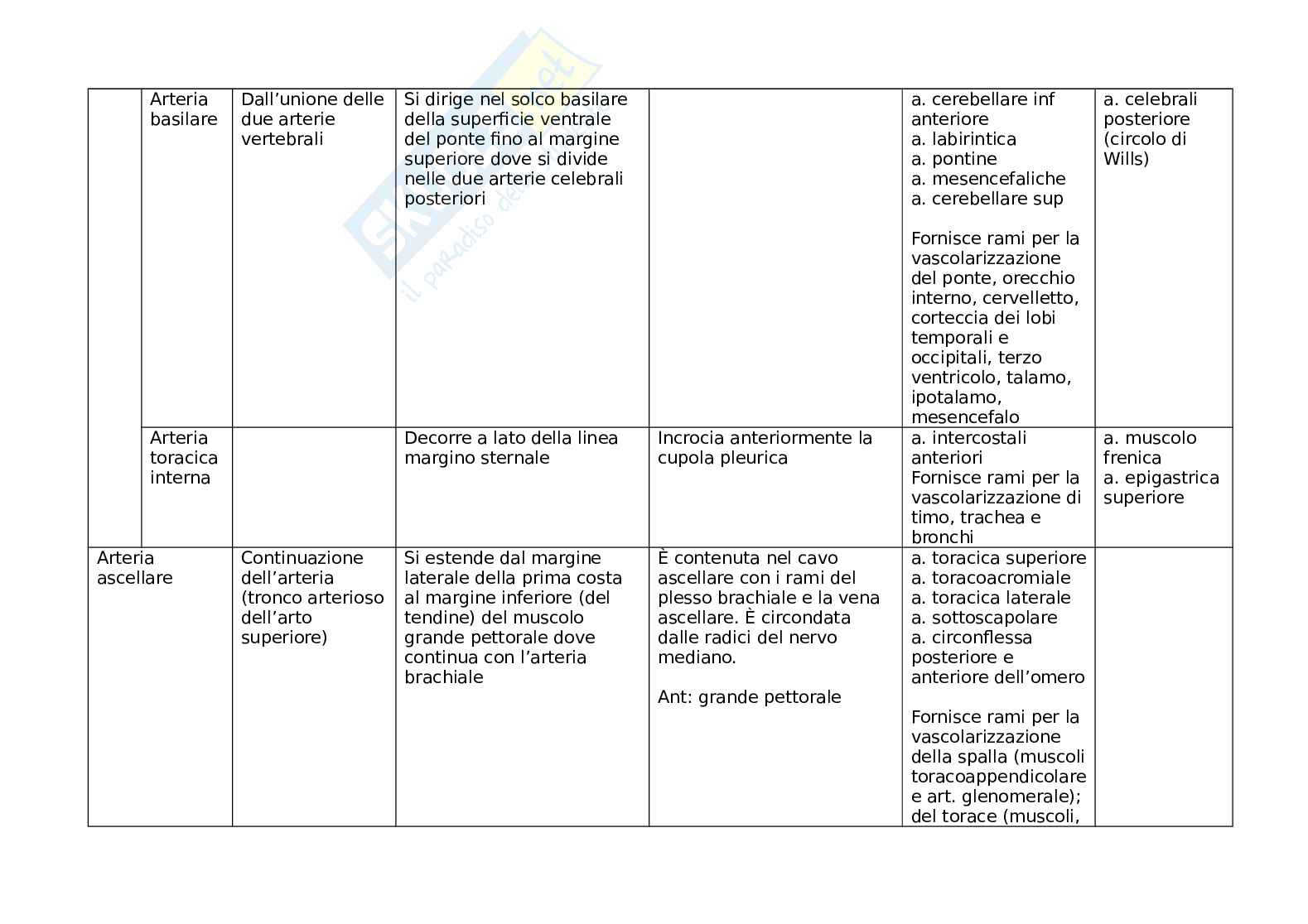 Arterie e vene Pag. 11