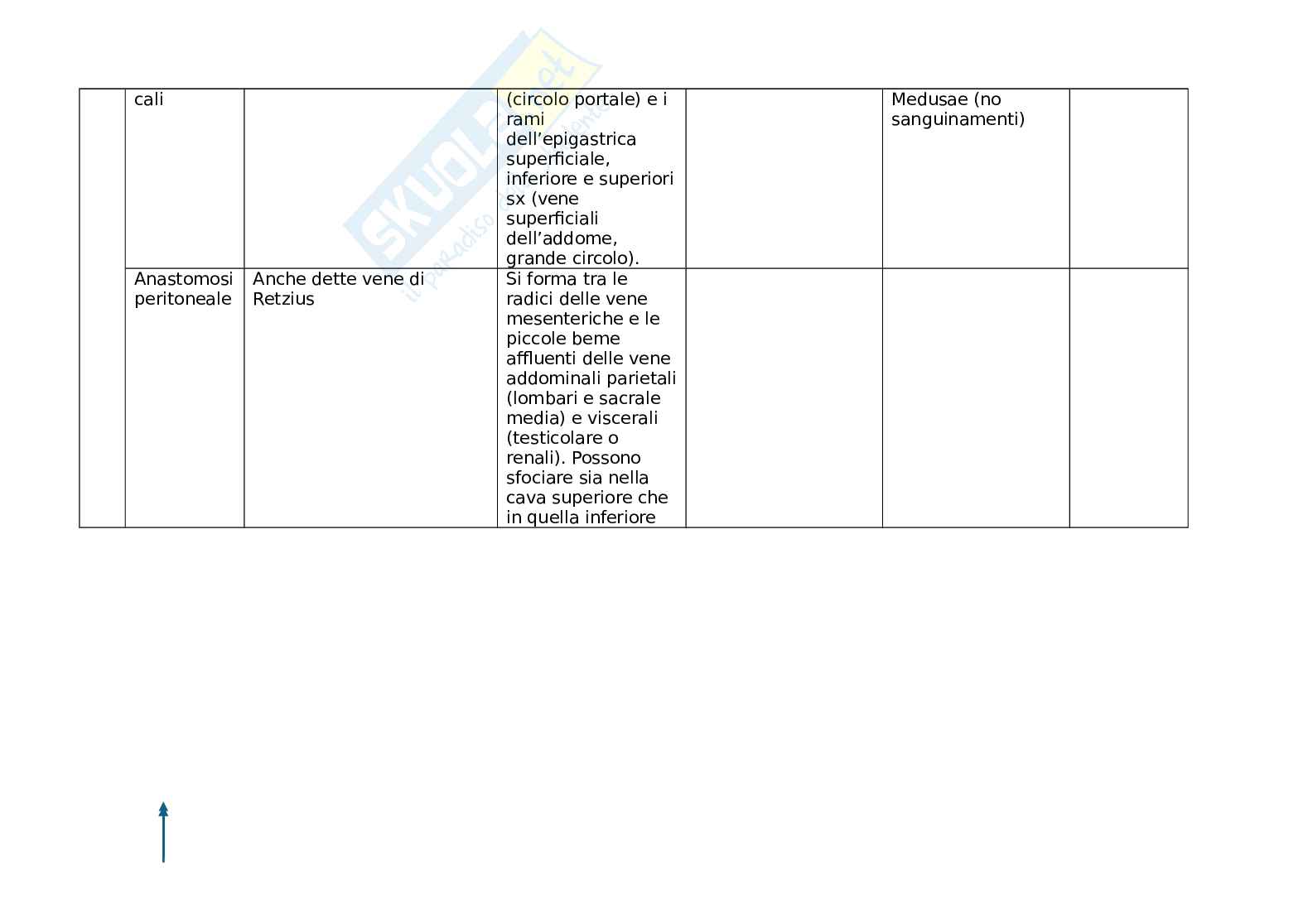 Arterie e vene Pag. 31