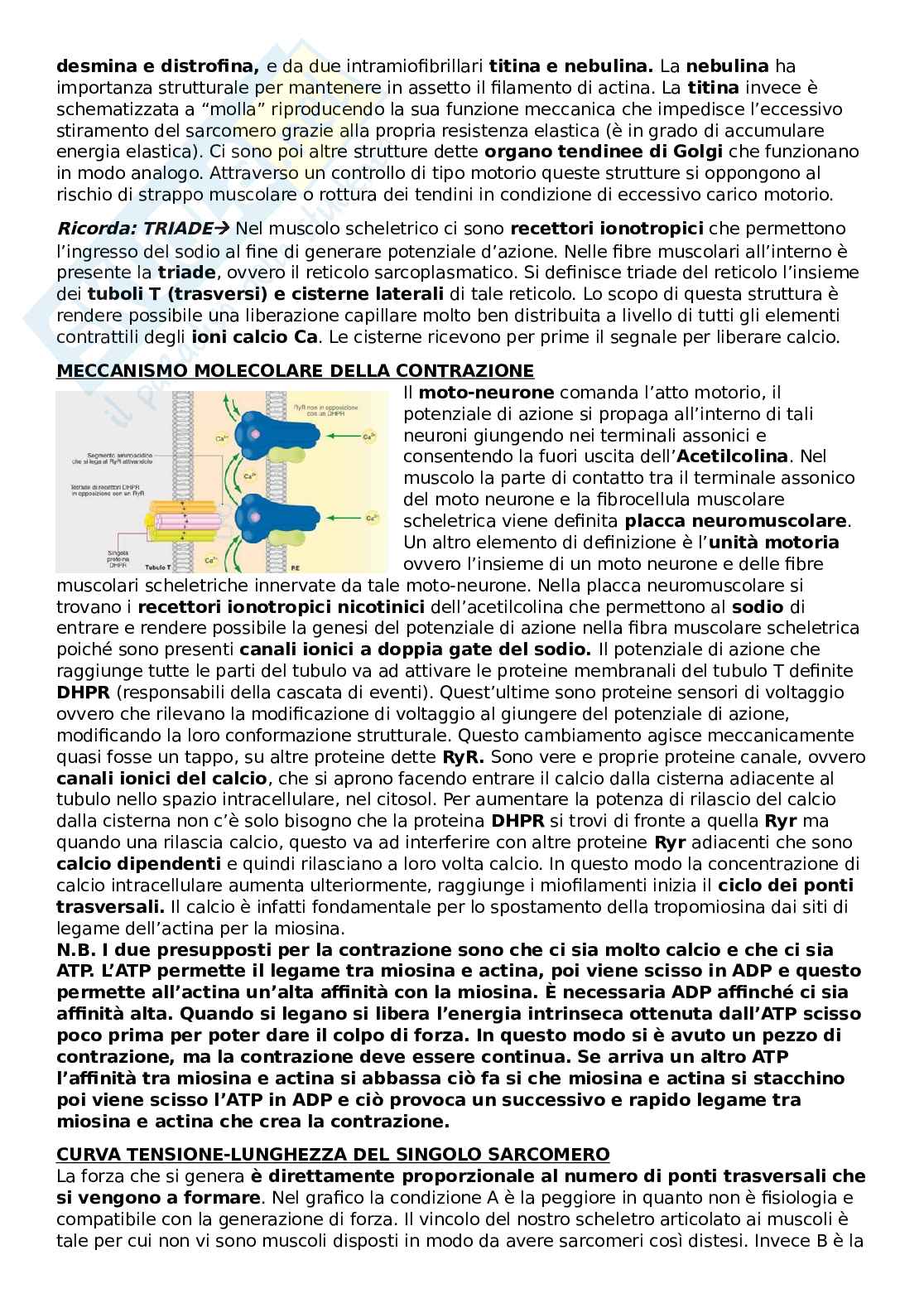 Riassunto esame Neurofisiologia e fisiologia del sistema endocrino, Prof. Aicardi Giorgio, libro consigliato Fisiologia: dalle molecole ai sistemi integrati, Carbone, Aicardi, Maggi Pag. 11