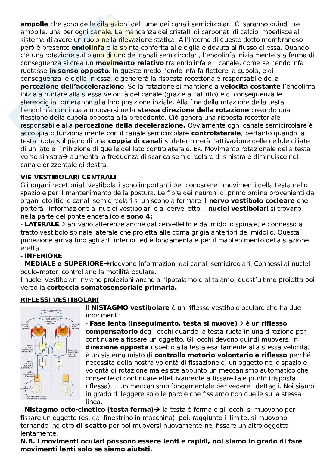 Riassunto esame Neurofisiologia e fisiologia del sistema endocrino, Prof. Aicardi Giorgio, libro consigliato Fisiologia: dalle molecole ai sistemi integrati, Carbone, Aicardi, Maggi Pag. 26