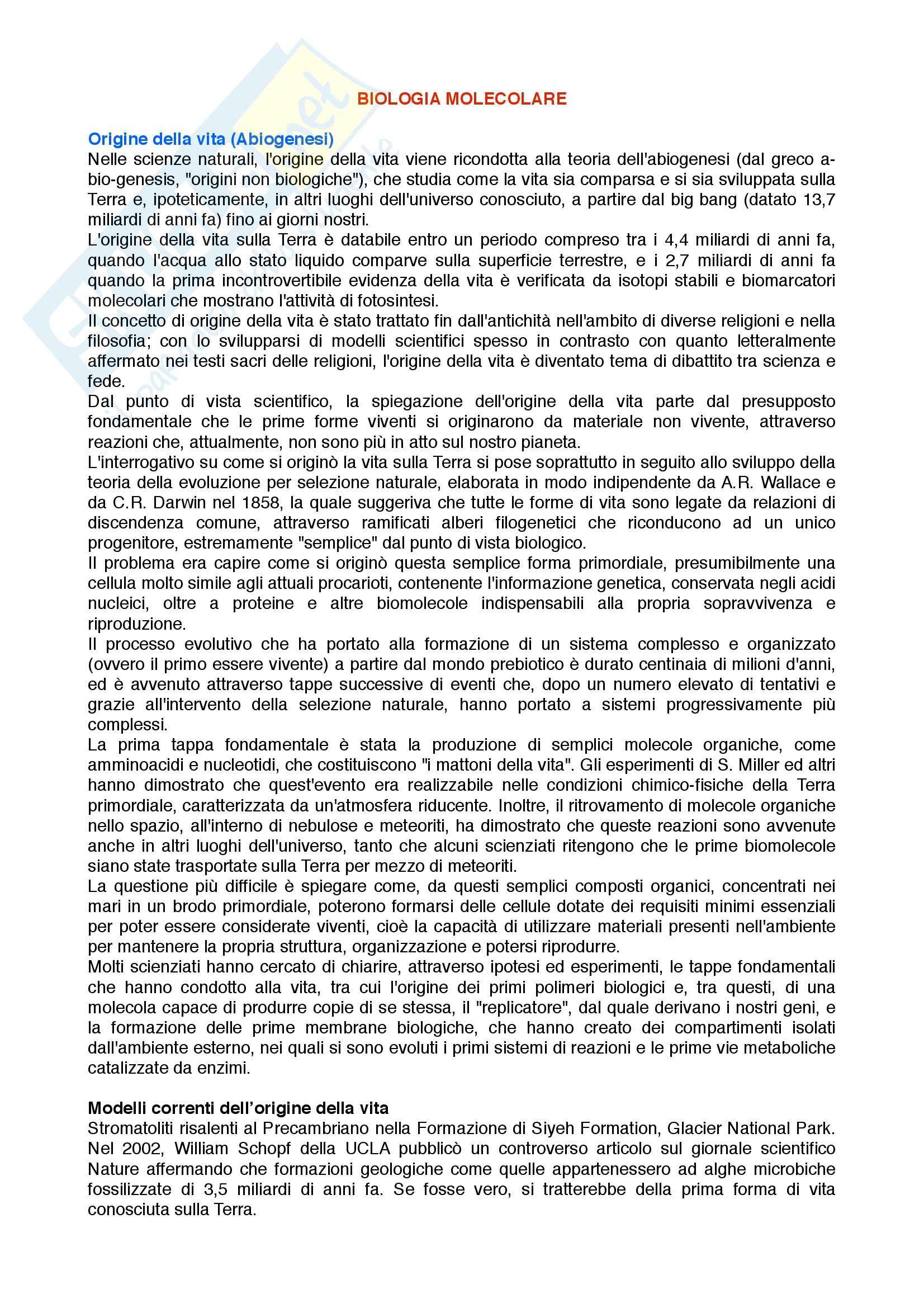 Biologia molecolare - Appunti Pag. 1