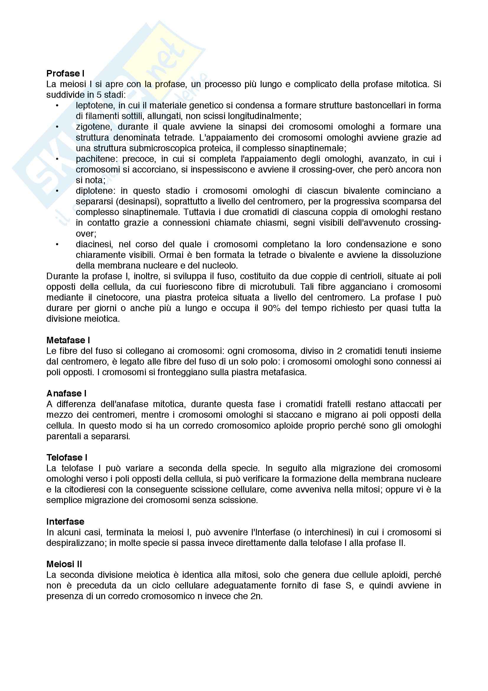 Biologia molecolare - Appunti Pag. 6