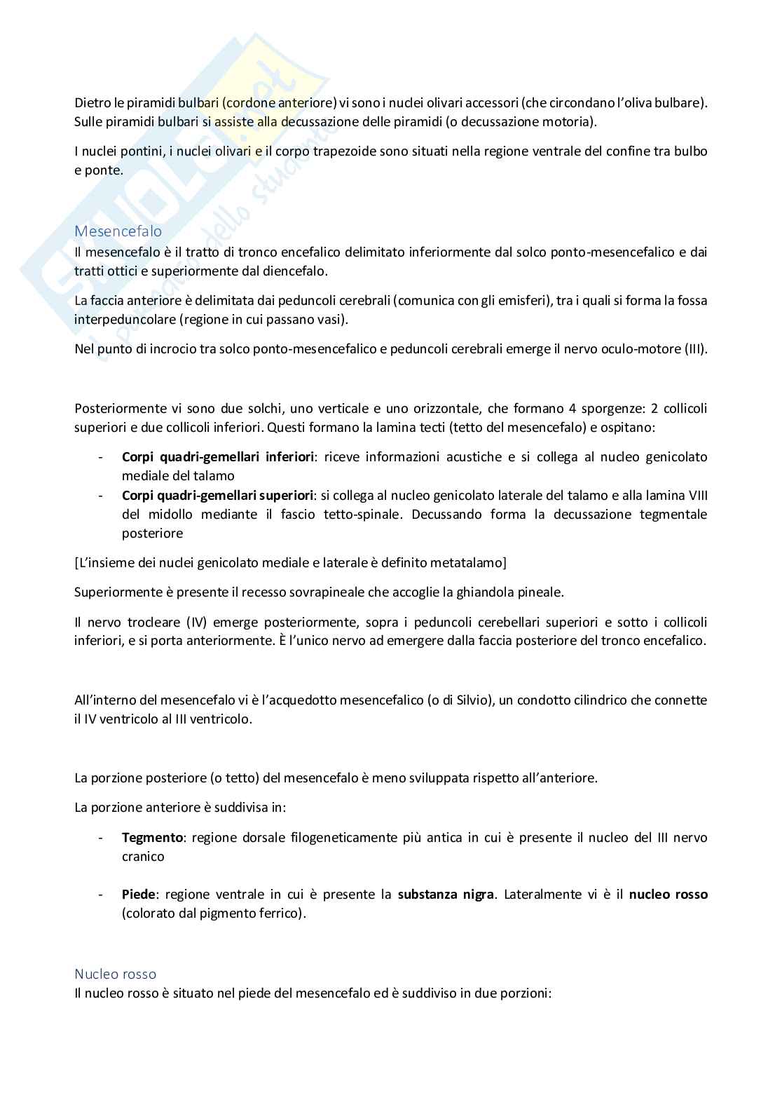 Nucleo del tronco encefalico  Pag. 2